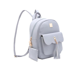 Gray Bag