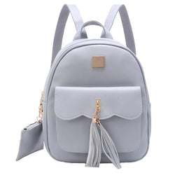 Gray Bag